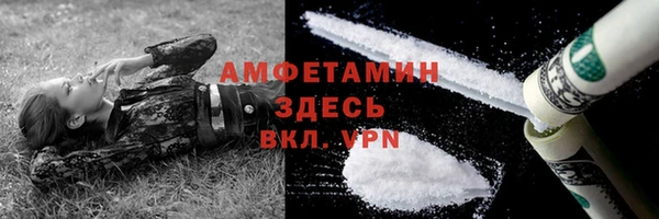 PSILOCYBIN Алзамай
