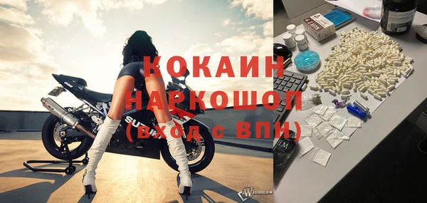 PSILOCYBIN Алзамай