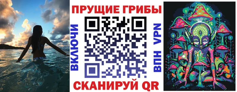 ОМГ ОМГ зеркало Энгельс Псилоцибиновые грибы Psilocybine cubensis купить закладку