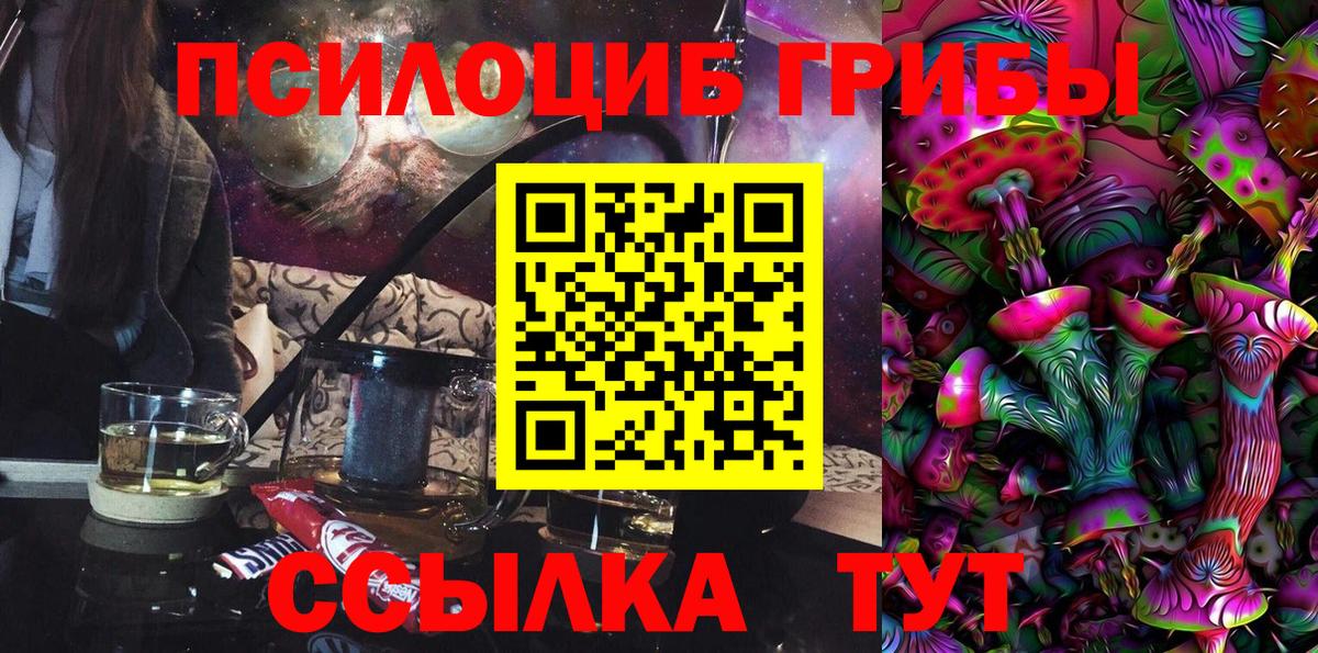 Галлюциногенные грибы Psilocybe Энгельс