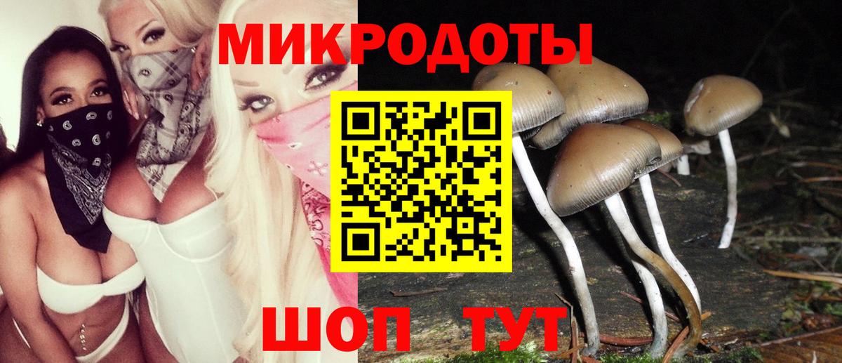 Псилоцибиновые грибы ЛСД  Галлюциногенные грибы мицелий  Вход с VPN  где найти   Энгельс 