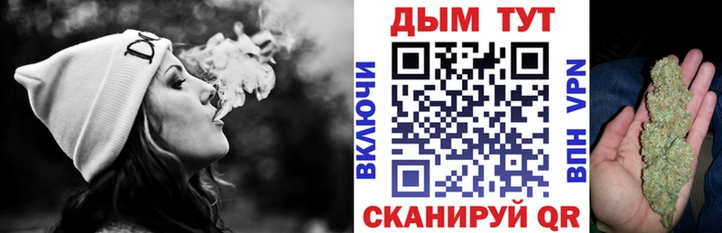 Бошки Шишки план  Энгельс 
