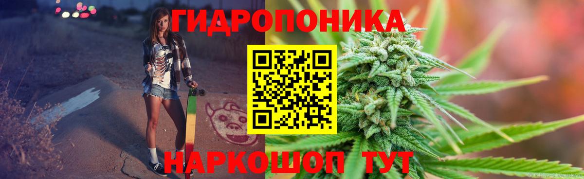 Бошки Шишки индика  Бошки Шишки план  Энгельс  Вход с VPN 